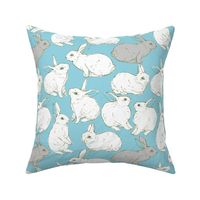 Rabbits in blue