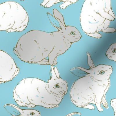 Rabbits in blue