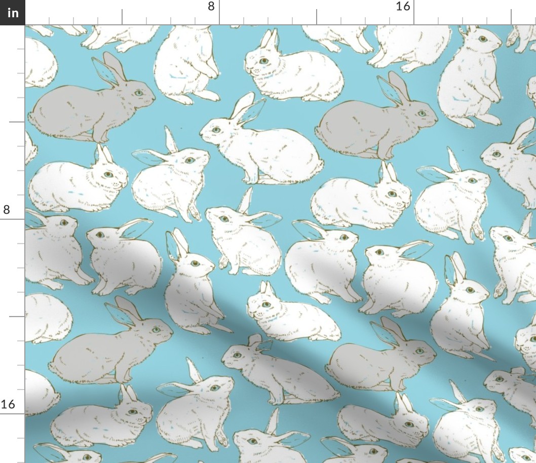 Rabbits in blue