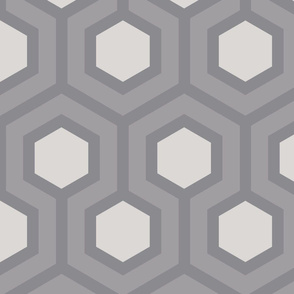 Gray Honeycomb Geo 5