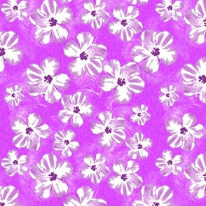 Purple Hibiscus Flowers