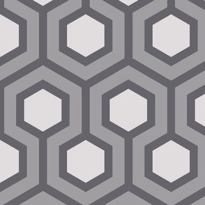 Gray Honeycomb Geo 1