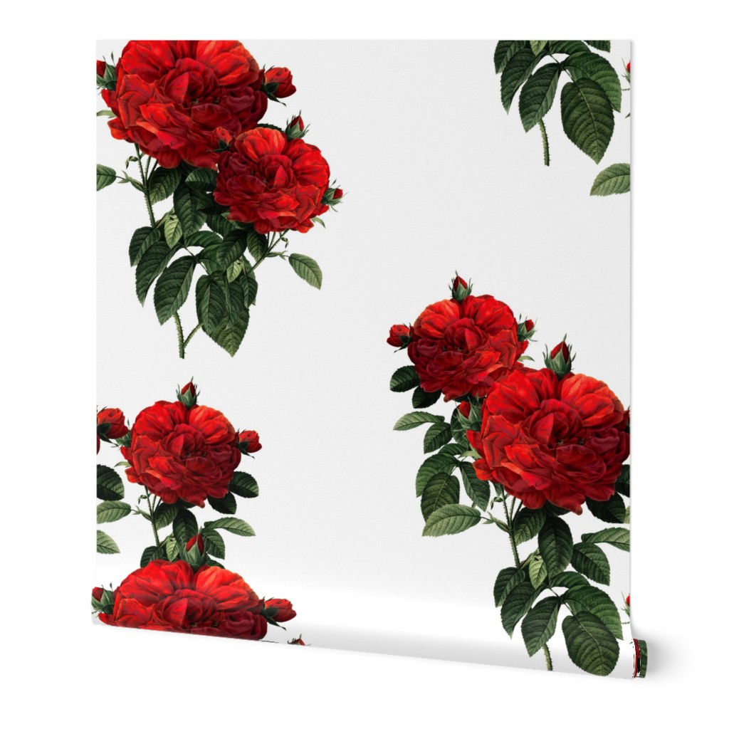 Redoute' Roses ~ Riot of Red Jumble