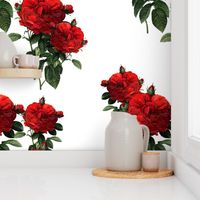 Redoute' Roses ~ Riot of Red Jumble