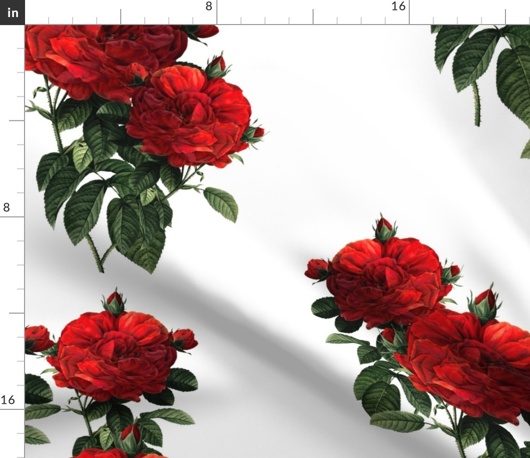 Redoute' Roses ~ Riot of Red Jumble