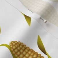 Ears of Corn on White