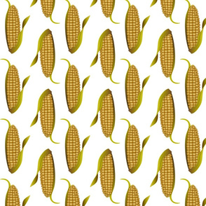 Ears of Corn on White