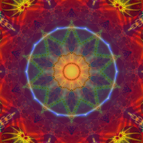 Rainbow Fractal Tile 292 Kaleidoscope