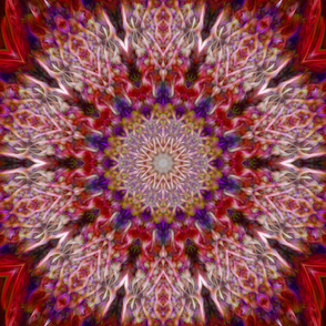 Fuzzy Purple Red kaleidoscope