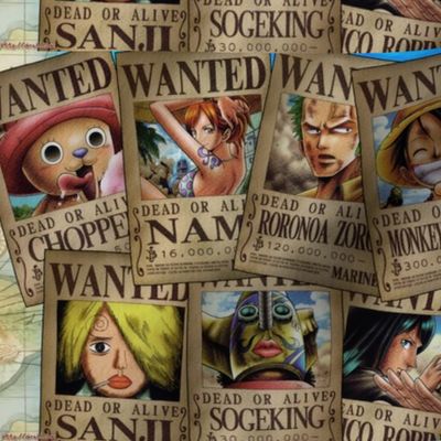 One Piece Wanted Posters Colour Spoonflower