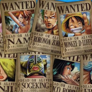 One piece wanted posters colour