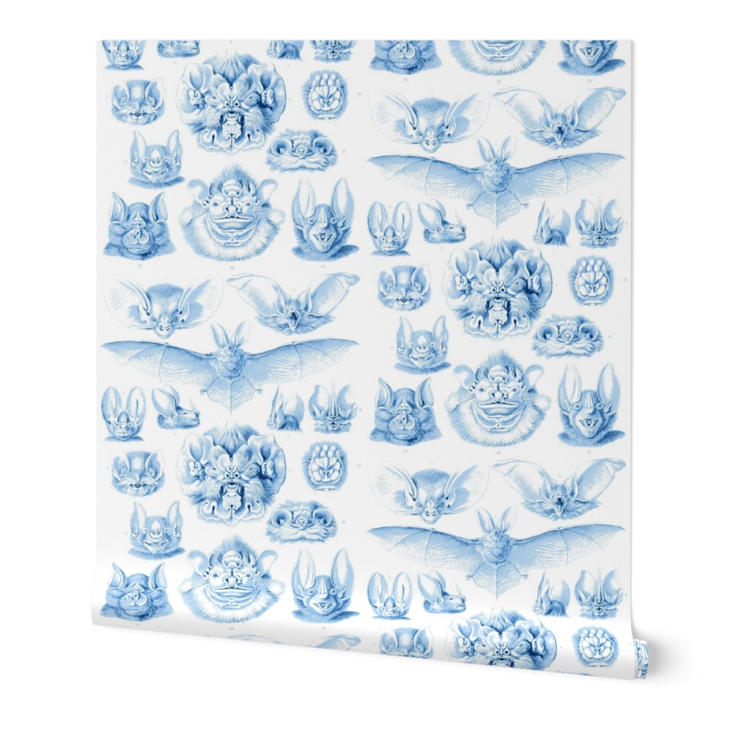 Fledermaus Toile Blue