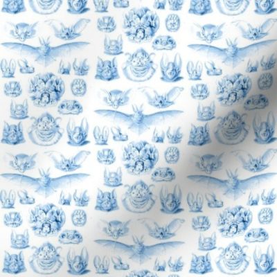 Fledermaus Toile Blue