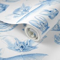 Fledermaus Toile Blue