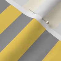 yellow and gray stripe