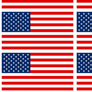 US Flag (with border)