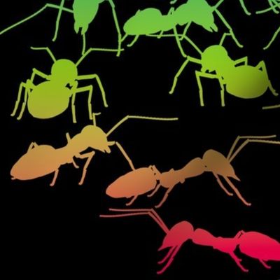 Colorful Ants