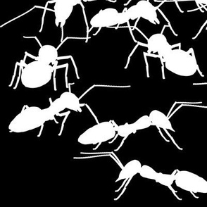 White Ants Silhouette