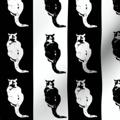 Doublecat in Black and White