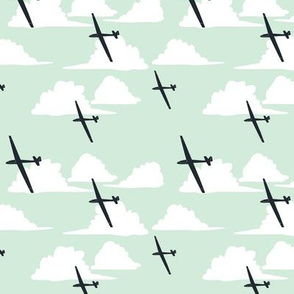 Gliders Under a Cumulus Cloud