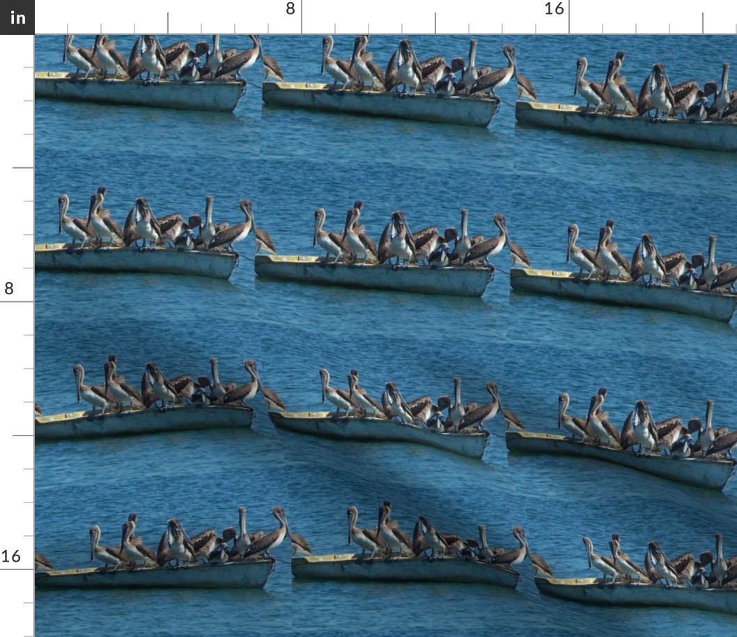 Pelican Parade