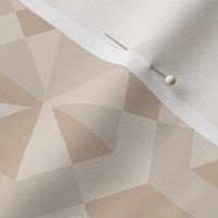 Beige Triangles and Hexagons Geometric © Gingezel™
