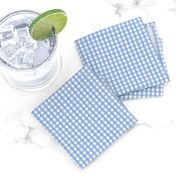 tiny gingham cornflower blue dorothy costume