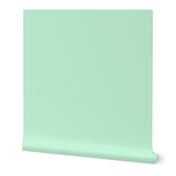 solid ice mint green