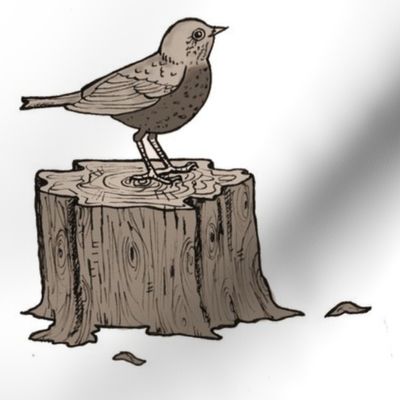 Bird on a stump