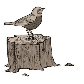Bird on a stump