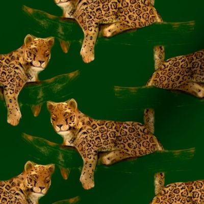 Jaguar on green