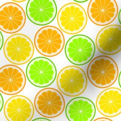 02140167 © citrus slices S43 : fruity