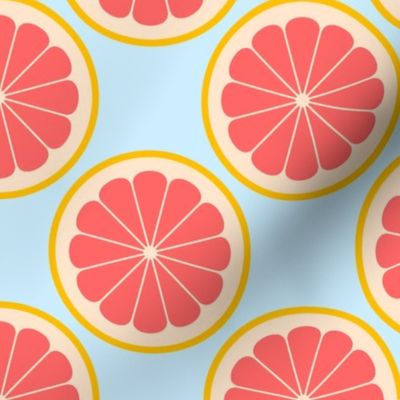 02141174 : citrus slices R4X : grapefruit