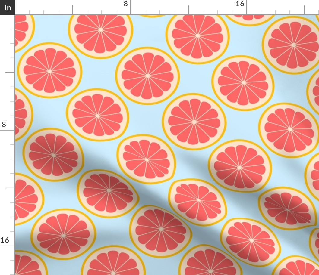 02141174 : citrus slices R4X : grapefruit
