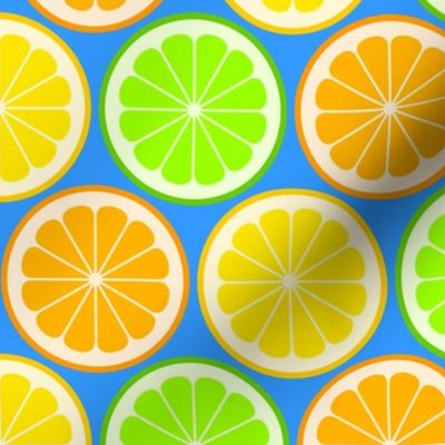 02141175 : citrus slices R6 : fruity