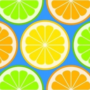 02141175 : citrus slices R6 : fruity