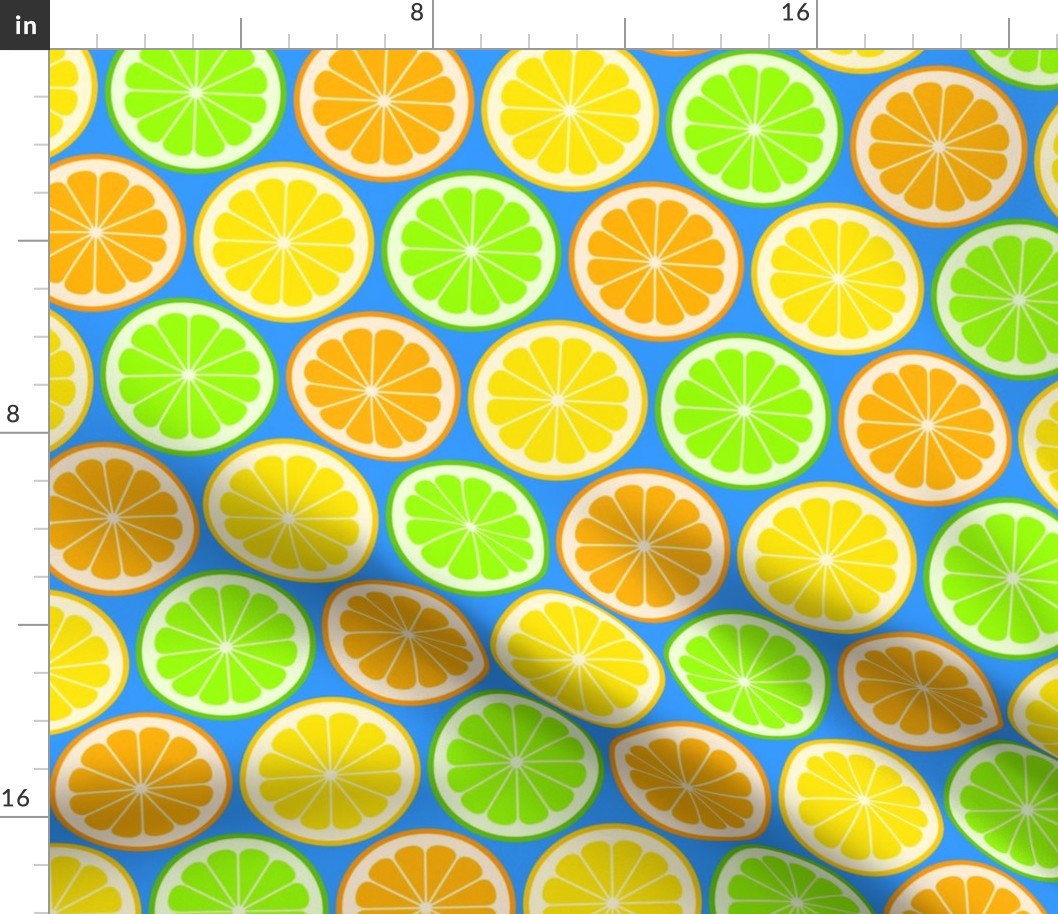 02141175 : citrus slices R6 : fruity