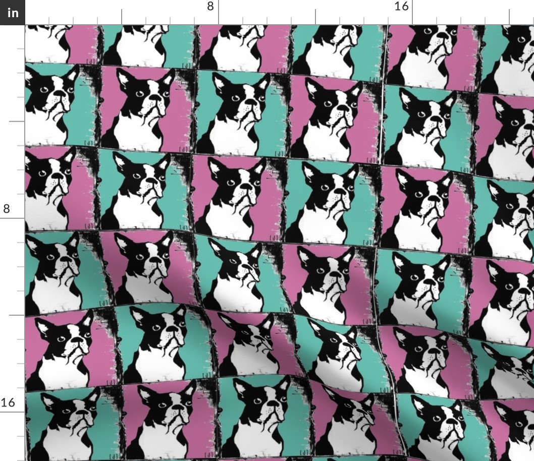Boston Terriers Rule in Teal and Pink