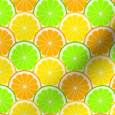 02143987 : citrus scales R6 : fruity