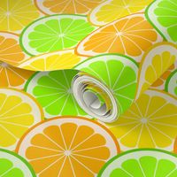 02143987 : citrus scales R6 : fruity