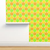 02143987 : citrus scales R6 : fruity