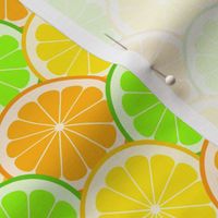02143987 : citrus scales R6 : fruity