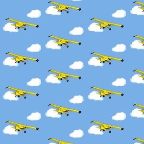 Grandpa's Yellow Airplane