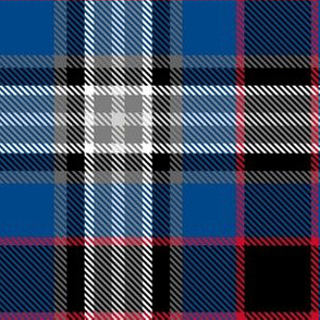 Custom Tartan ~ Make Your Own!