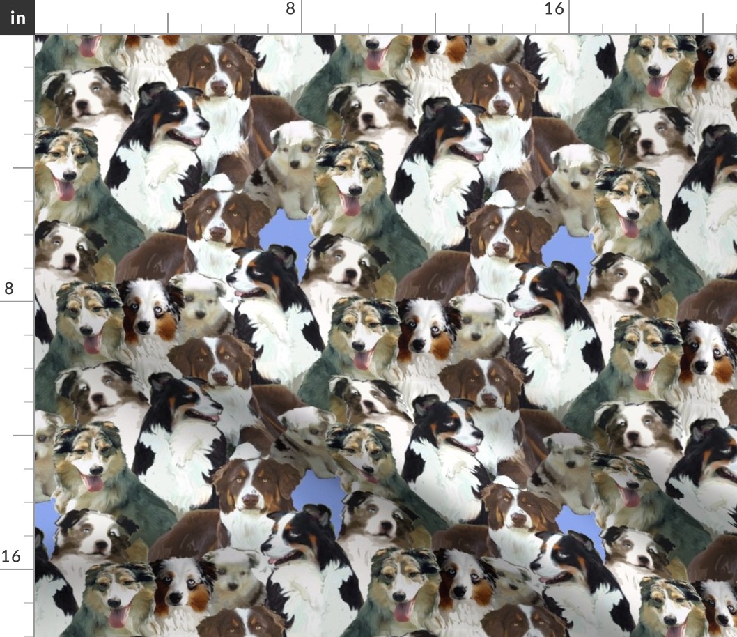 australian shepherd collage