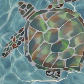 Caribbean Sea Turtles