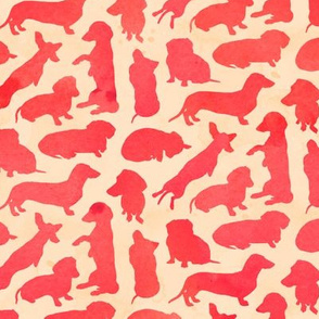 Dachshund Party Red Watercolor