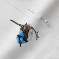 Blue Wren Ditsy