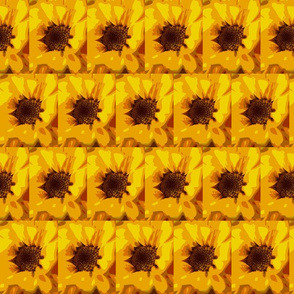 Yellow Wild Flower Abstract