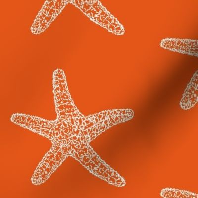 SeaStar on Orange